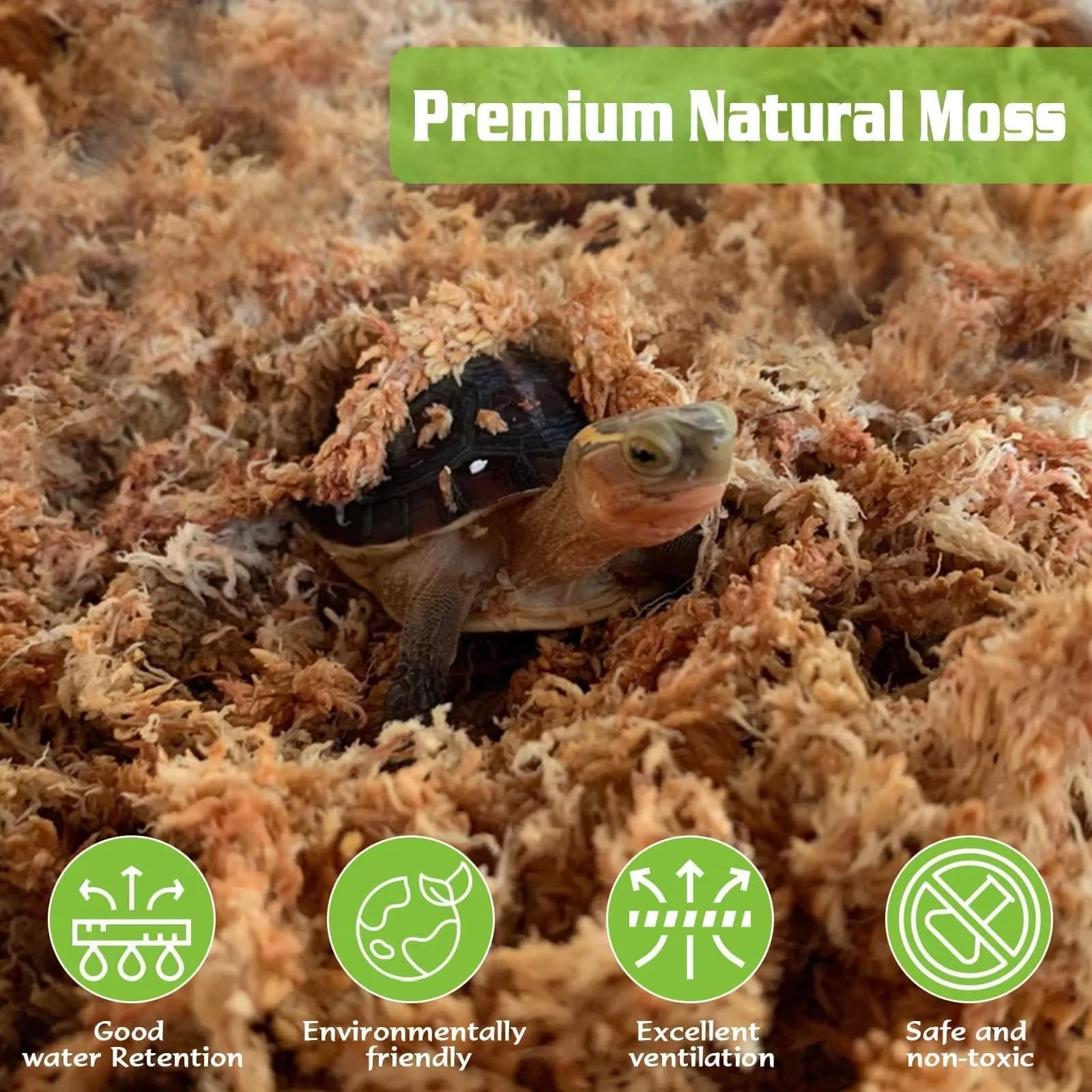 ZeeDix Natural Sphagnum Moss 6 oz (170g) | Long Fiber for Indoor Plants, Terrariums & Reptiles - view 3