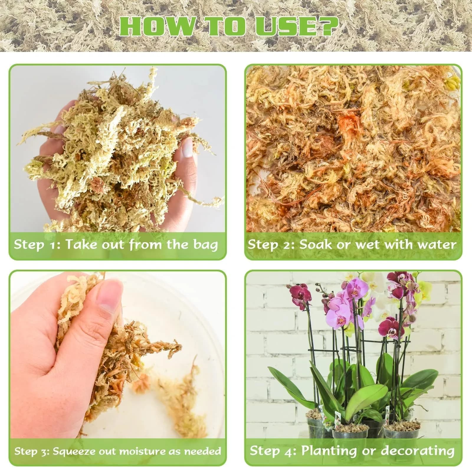 ZeeDix Natural Sphagnum Moss 6 oz (170g) | Long Fiber for Indoor Plants, Terrariums & Reptiles - view 4