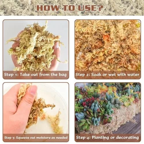 ZeeDix Natural Sphagnum Moss 3 oz (170g) | Long Fiber Moss for Indoor Plants, Orchids, Carnivorous Plants, Succulents, Reptiles thumbnail 5