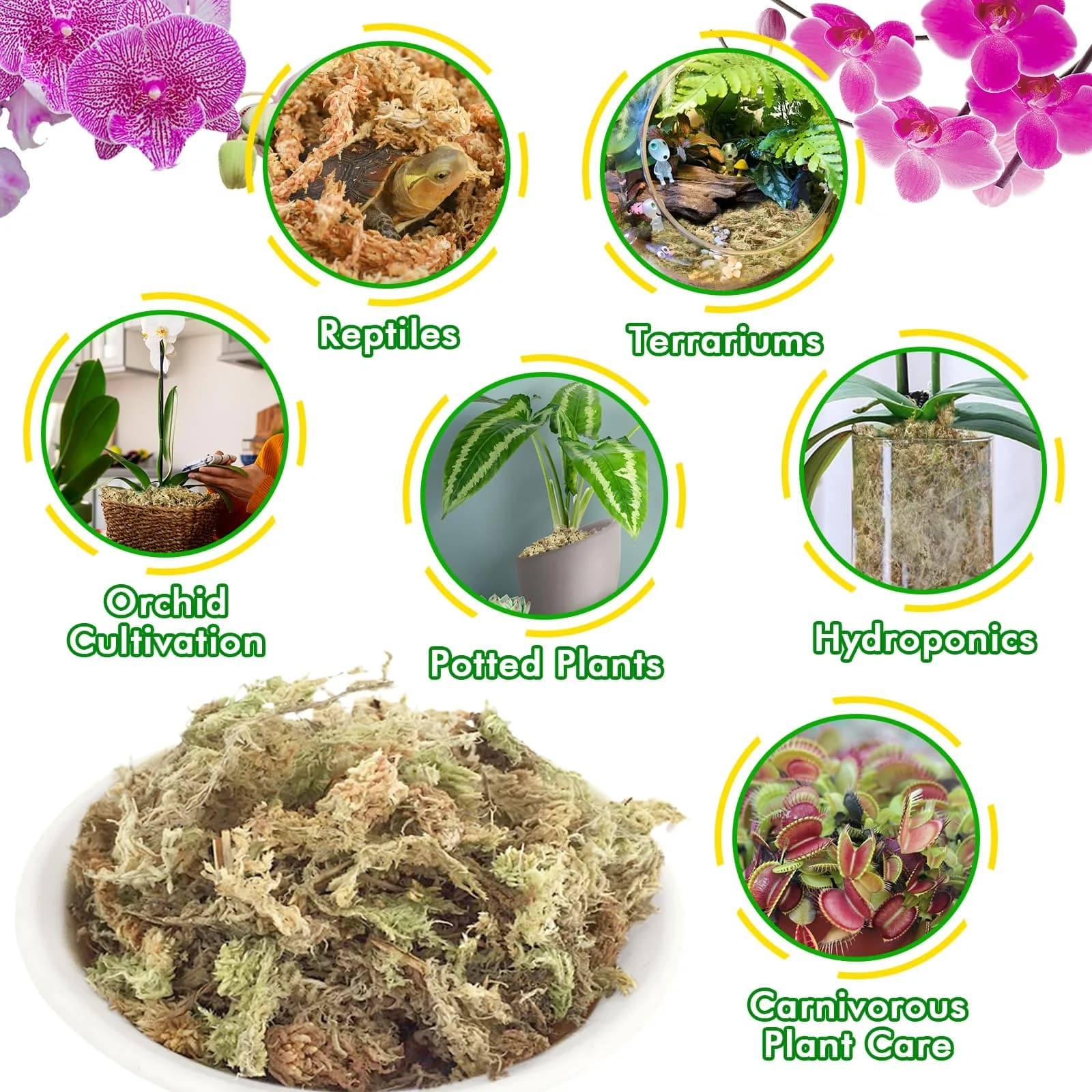 ZeeDix Natural Sphagnum Moss 3 oz (170g) | Long Fiber Moss for Indoor Plants, Orchids, Carnivorous Plants, Succulents, Reptiles - view 6