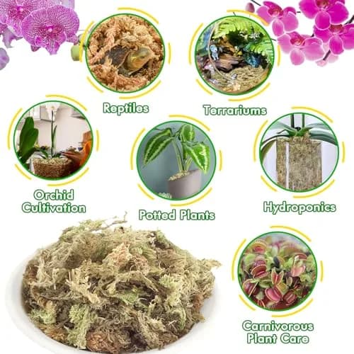 ZeeDix Natural Sphagnum Moss 3 oz (170g) | Long Fiber Moss for Indoor Plants, Orchids, Carnivorous Plants, Succulents, Reptiles thumbnail 6