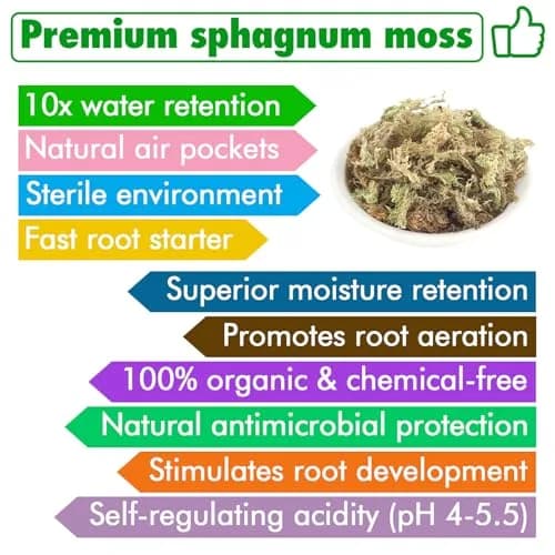 ZeeDix Natural Sphagnum Moss 3 oz (170g) | Long Fiber Moss for Indoor Plants, Orchids, Carnivorous Plants, Succulents, Reptiles thumbnail 3