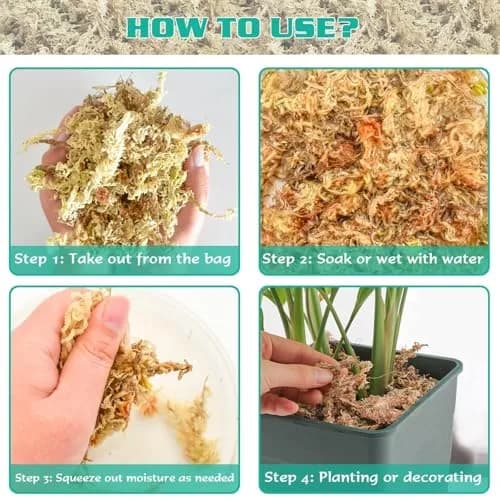 ZeeDix Natural Sphagnum Moss 0.49 kg (1.1 lb) | Expands to 25 qt for Indoor Plants thumbnail 4