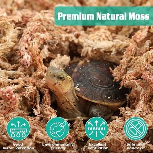ZeeDix Natural Sphagnum Moss 0.49 kg (1.1 lb) | Expands to 25 qt for Indoor Plants thumbnail 3