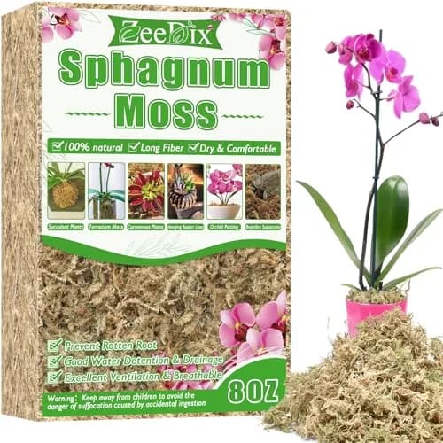 ZeeDix Premium Sphagnum Moss Bulk 1.46 kg (3.3 lb) | Natural Long Fiber for Plants & Reptiles — 8 ounces