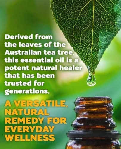 Aztec Secret Royal Tea Tree Oil 4 Fl Oz | Deep Moisturizer for Hair & Skin thumbnail 4