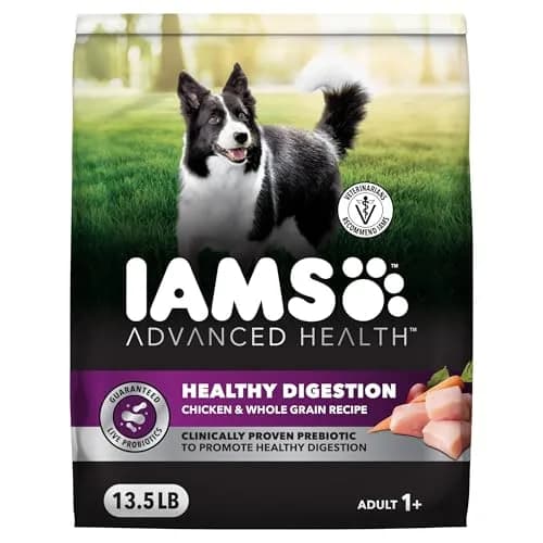 IAMS Advanced Health Healthy Digestion Dry Dog Food, Chicken, 13.5 lb | Supports Digestive Wellness thumbnail 1