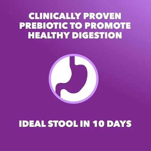 IAMS Advanced Health Healthy Digestion Dry Dog Food, Chicken, 13.5 lb | Supports Digestive Wellness thumbnail 4