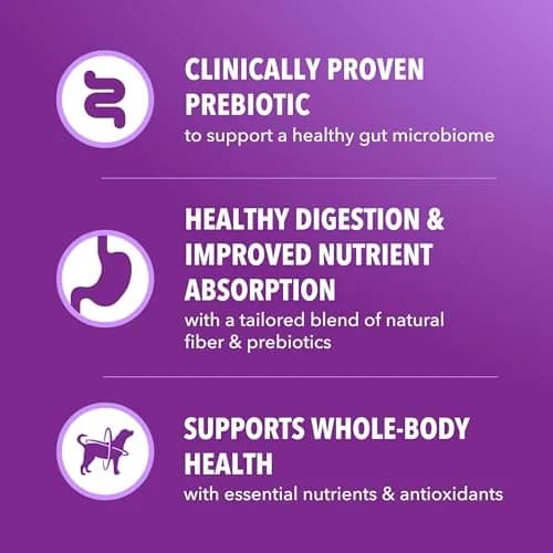 IAMS Advanced Health Healthy Digestion Dry Dog Food, Chicken, 13.5 lb | Supports Digestive Wellness thumbnail 5