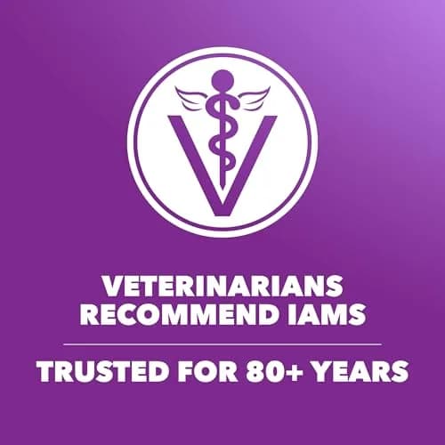 IAMS Advanced Health Healthy Digestion Dry Dog Food, Chicken, 13.5 lb | Supports Digestive Wellness thumbnail 6