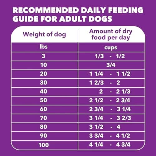 IAMS Advanced Health Healthy Digestion Dry Dog Food, Chicken, 13.5 lb | Supports Digestive Wellness thumbnail 9