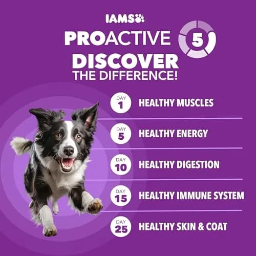 IAMS Advanced Health Healthy Digestion Dry Dog Food, Chicken, 13.5 lb | Supports Digestive Wellness thumbnail 2
