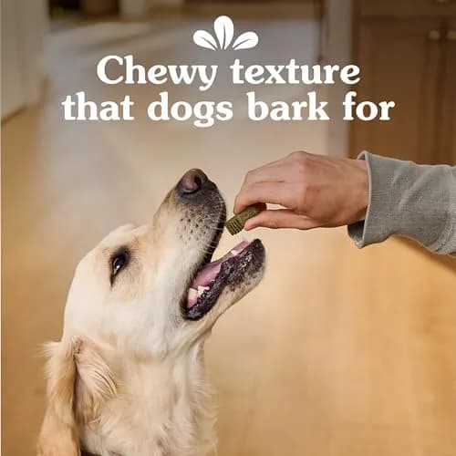 Greenies Dog Treats, Blueberry Flavor, 1.5 Pound | Chewy, Natural, 13 Calories thumbnail 5