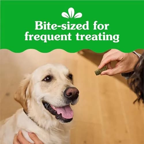 Greenies Dog Treats, Blueberry Flavor, 1.5 Pound | Chewy, Natural, 13 Calories thumbnail 3