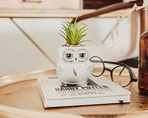Silver Buffalo Harry Potter Hedwig 3-Inch Ceramic Mini Planter with Artificial Succulent | Wizarding World Decor thumbnail 5