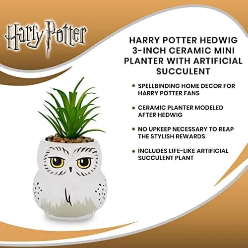 Silver Buffalo Harry Potter Hedwig 3-Inch Ceramic Mini Planter with Artificial Succulent | Wizarding World Decor thumbnail 7