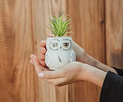 Silver Buffalo Harry Potter Hedwig 3-Inch Ceramic Mini Planter with Artificial Succulent | Wizarding World Decor thumbnail 3