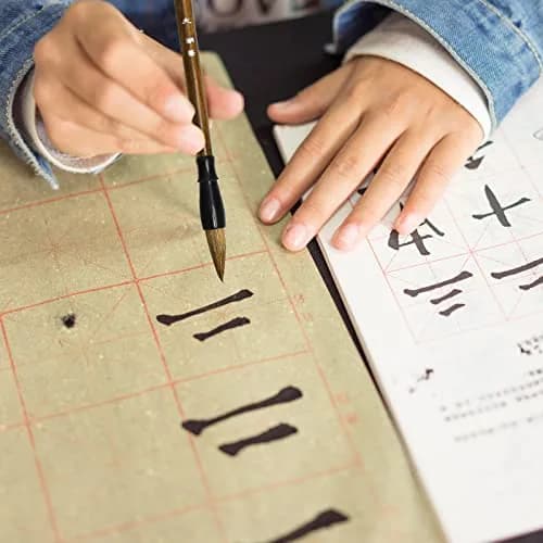Whaline 18Pcs Chinese Calligraphy Brushes Set with Writing Paper & Roll-up Holder | Kanji Japanese Sumi Drawing Brushes for Watercolor Art Ceramic Ink Painting thumbnail 5