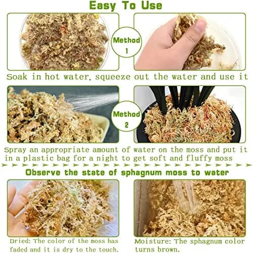 Legigo Premium Sphagnum Moss for Plants — 20 Quarts (Appx. 1.2 lb / 0.5 kg) | Natural Long Fiber Orchid & Succulent Soil thumbnail 4