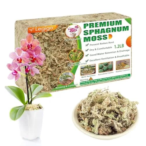 Legigo Premium Sphagnum Moss for Plants — 20 Quarts (Appx. 1.2 lb / 0.5 kg) | Natural Long Fiber Orchid & Succulent Soil thumbnail 1