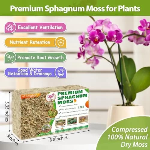 Legigo Premium Sphagnum Moss for Plants — 20 Quarts (Appx. 1.2 lb / 0.5 kg) | Natural Long Fiber Orchid & Succulent Soil thumbnail 2