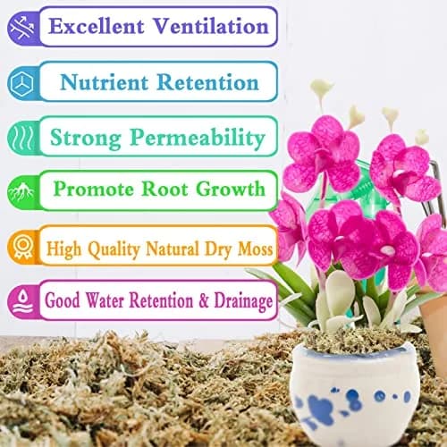 Legigo Premium Sphagnum Moss for Plants — 20 Quarts (Appx. 1.2 lb / 0.5 kg) | Natural Long Fiber Orchid & Succulent Soil thumbnail 3