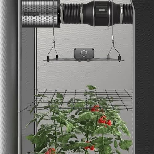 AC Infinity Elastic Trellis Netting for 2x4 Grow Tents | Heavy-Duty Support for Indoor & Outdoor Plants thumbnail 5