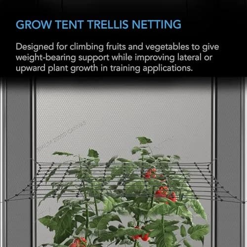 AC Infinity Elastic Trellis Netting for 2x4 Grow Tents | Heavy-Duty Support for Indoor & Outdoor Plants thumbnail 2