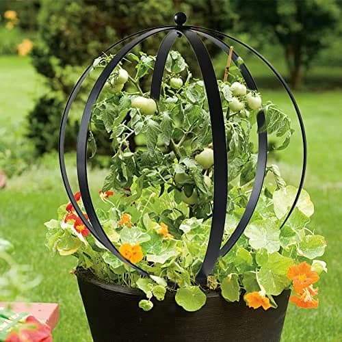 DECOR WOW Small Metal Trellis 19.5" x 16" | Weatherproof Garden Support Structure thumbnail 5