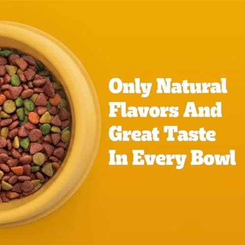 Pedigree Small Dogs Dry Dog Food Roasted Chicken & Vegetable 14 lb | Supports Daily Vitality & Digestion thumbnail 7
