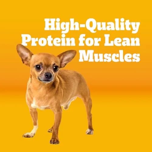 Pedigree Small Dogs Dry Dog Food Roasted Chicken & Vegetable 14 lb | Supports Daily Vitality & Digestion thumbnail 2