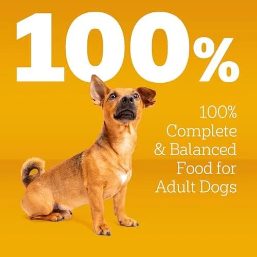 Pedigree Small Dogs Dry Dog Food Roasted Chicken & Vegetable 14 lb | Supports Daily Vitality & Digestion thumbnail 3
