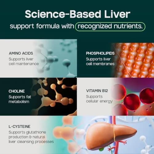 LIVERITE Liver Aid - Liver Support Supplement - 2 Bottles, 240 Tablets | Supports Liver Function & Energy thumbnail 6