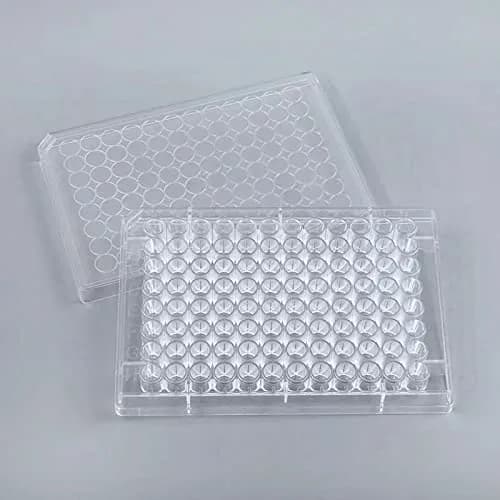 Lichen cottage 96-Well Tissue Culture Plate 10-Pack | Sterile, Individually Wrapped, Flat Bottom Wells thumbnail 1