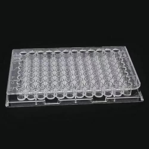 Lichen cottage 96-Well Tissue Culture Plate 10-Pack | Sterile, Individually Wrapped, Flat Bottom Wells thumbnail 5