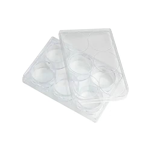 Lichen cottage 6-Well Tissue Culture Plate 15.9ml (Pack of 10) | Sterile, Individually Wrapped, Flat Bottom Wells thumbnail 1