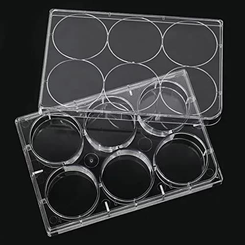 Lichen cottage 6-Well Tissue Culture Plate 15.9ml (Pack of 10) | Sterile, Individually Wrapped, Flat Bottom Wells thumbnail 2