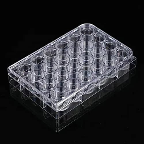 Lichen cottage 24-Well Tissue Culture Plate 3.4ml/well (Pack of 10) | Gamma Irradiated Labware for Cell Culture thumbnail 3