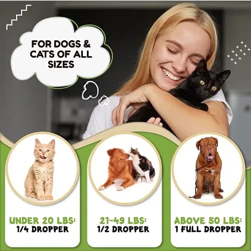 Billion Pets Hemp Oil for Dogs & Cats 2 Fl Oz | Calming, Pain & Arthritis Support thumbnail 7