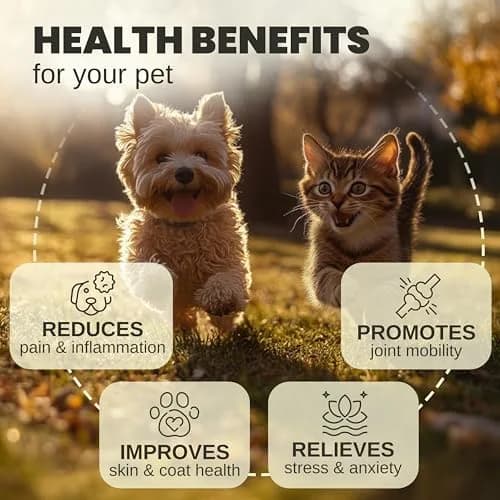 Billion Pets Hemp Oil for Dogs & Cats 2 Fl Oz | Calming, Pain & Arthritis Support thumbnail 2