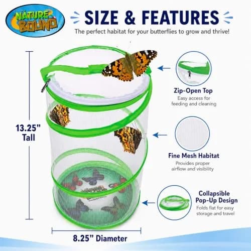 Nature Bound Butterfly Growing Kit 13 inch Tall Pop-Up Enclosure | STEM Learning Guide thumbnail 5