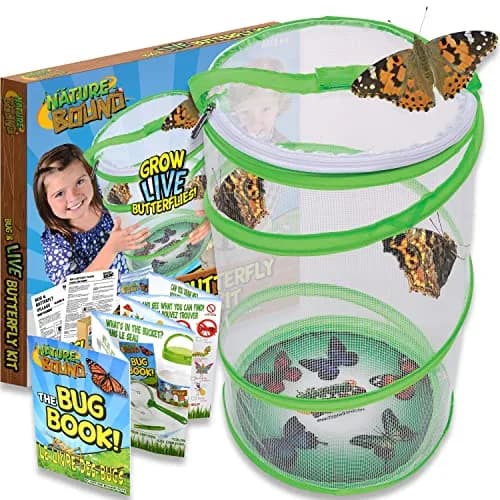 Nature Bound Butterfly Growing Kit 13 inch Tall Pop-Up Enclosure | STEM Learning Guide thumbnail 1