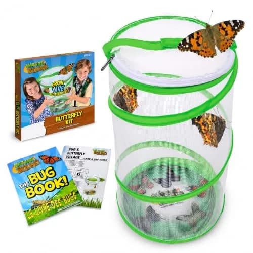 Nature Bound Butterfly Growing Kit 13 inch Tall Pop-Up Enclosure | STEM Learning Guide thumbnail 9