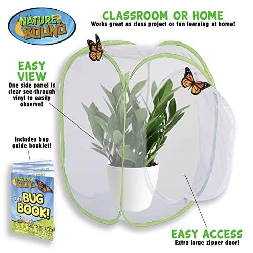 Nature Bound Butterfly Growing Kit 24 inch Pop-Up Enclosure | STEM Learning Guide Included thumbnail 6