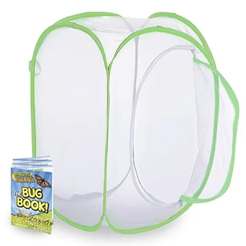 Nature Bound Butterfly Growing Kit 24 inch Pop-Up Enclosure | STEM Learning Guide Included thumbnail 8