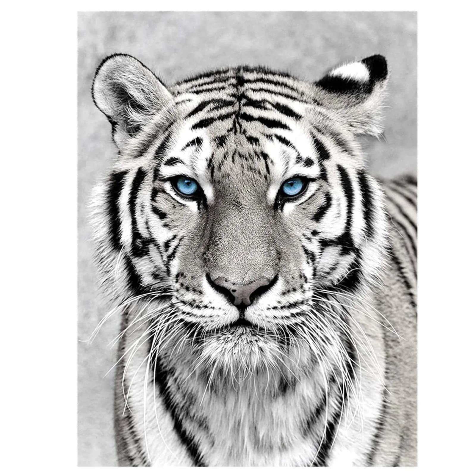 NAIMOER Tiger Diamond Art Kits for Adults, 5D Full Drill Animals Diamond Painting 30x40cm | Realistic Tiger Art for Home Wall Decoration — Tiger 1