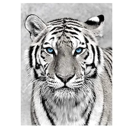 NAIMOER Tiger Diamond Art Kits for Adults, 5D Full Drill Animals Diamond Painting 30x40cm | Realistic Tiger Art for Home Wall Decoration thumbnail 1