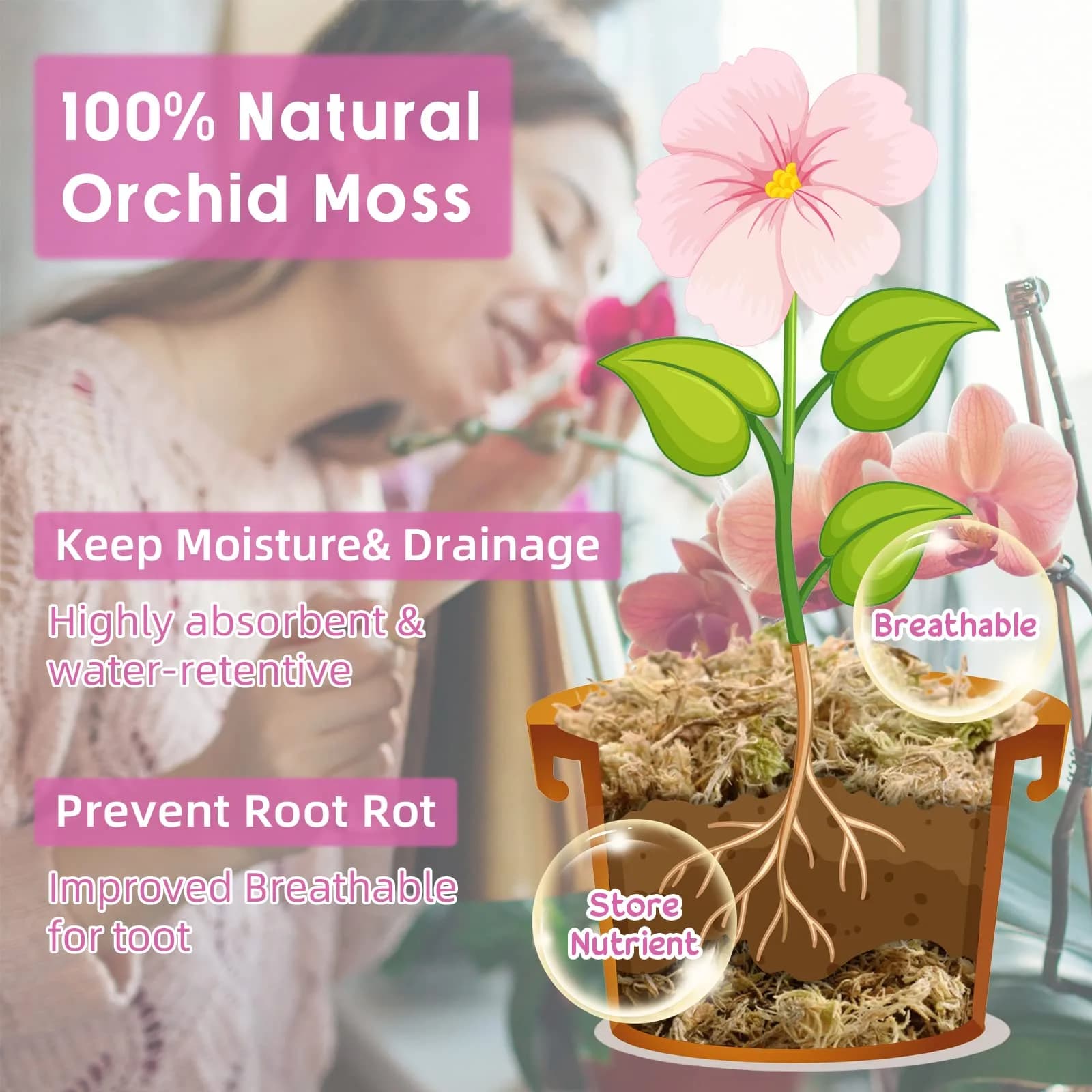 Legigo Premium Sphagnum Moss - 12 QT (10 oz) | Natural Long Fiber for Orchids & Succulents - view 3