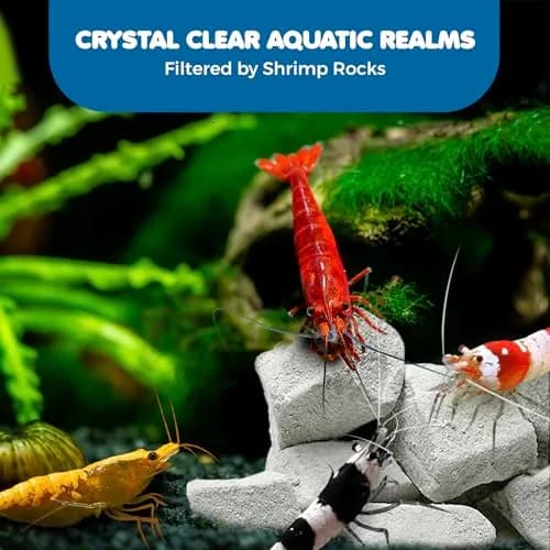 SunGrow Shrimp Rocks for Aquarium, 120g (4.23 oz) | Calcium Stones for Shrimp, Snails, Crabs & Crayfish thumbnail 5