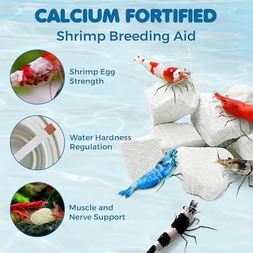 SunGrow Shrimp Rocks for Aquarium, 120g (4.23 oz) | Calcium Stones for Shrimp, Snails, Crabs & Crayfish thumbnail 3
